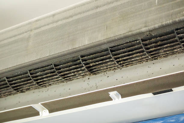 Air Duct Mold Removal in Santa Venetia, CA